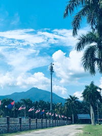 puan dayna profile icon