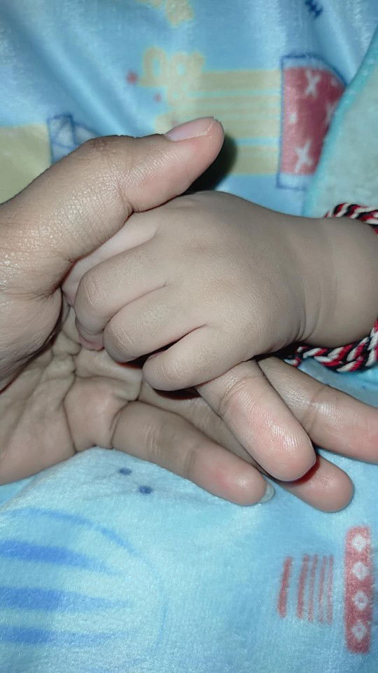 apin sapinta profile icon