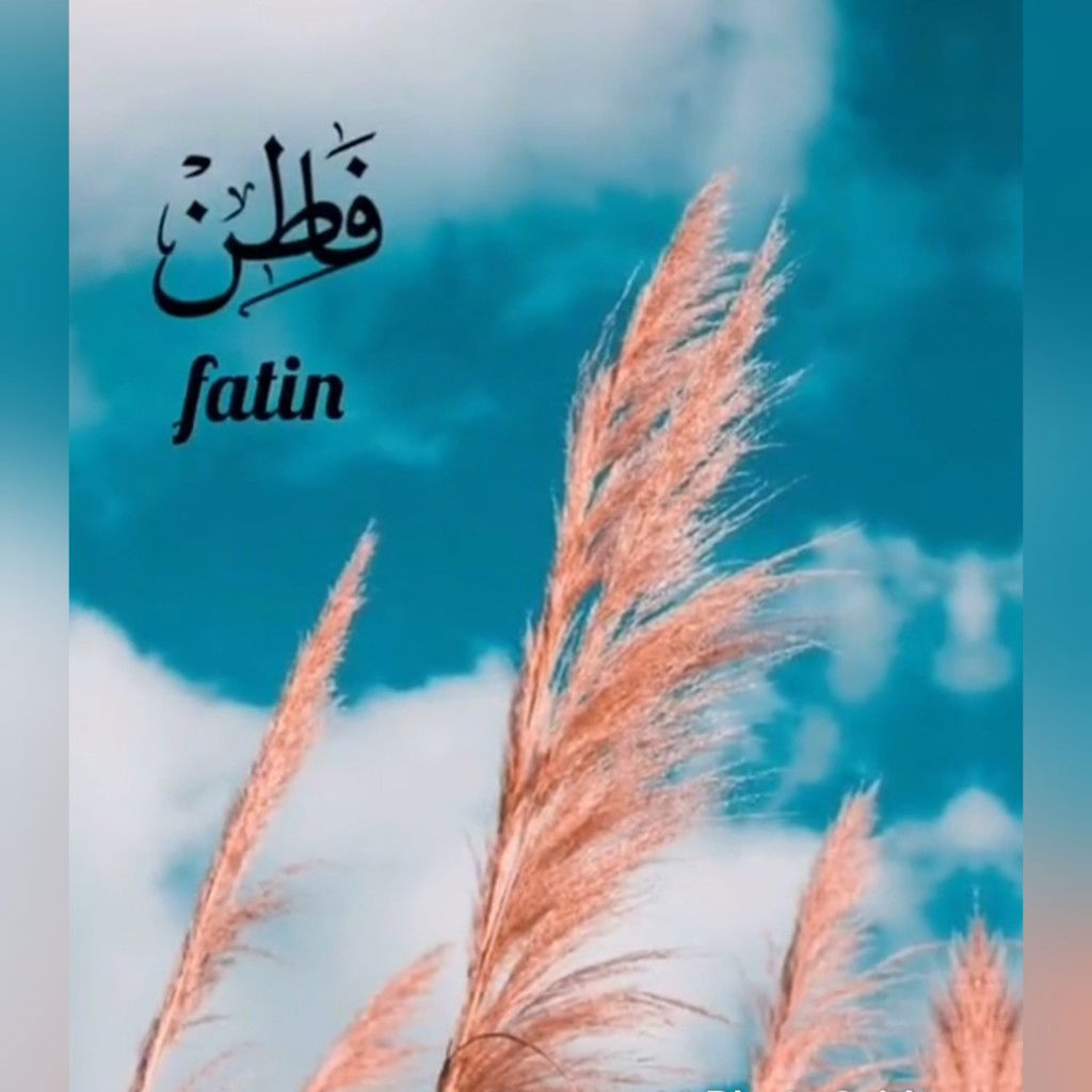 fatin profile icon