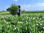 Yuii Thanyaphon profile icon
