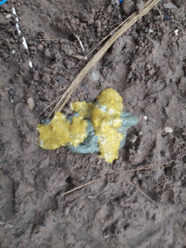 ถ่ายปกติมั้ยค่ะ