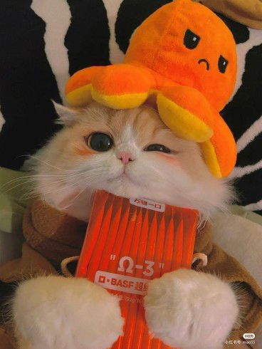 เวฟ เยิ้ม'ม profile icon