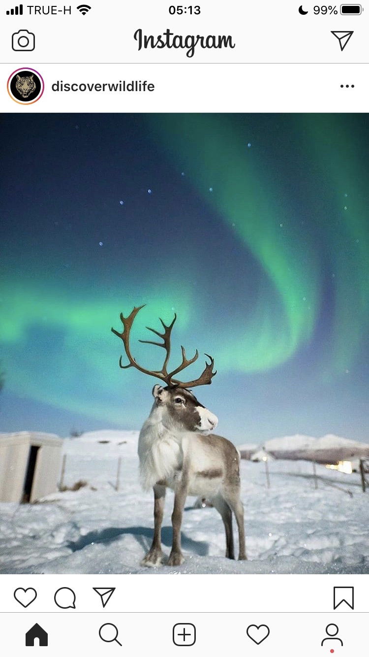 Teresita’ profile icon