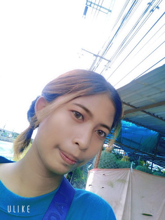 จิตราพร profile icon