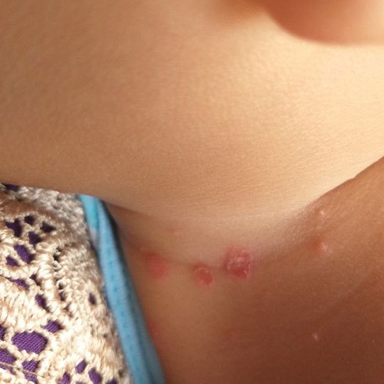 ini kenapa ya bun,,,,