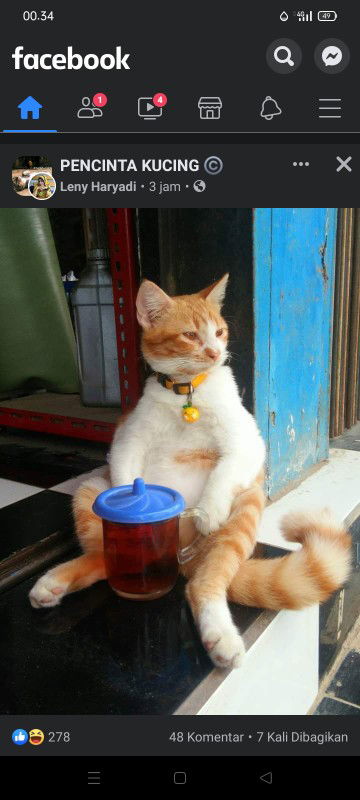 Mhei anggita profile icon