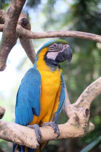 Fabiola E T profile icon