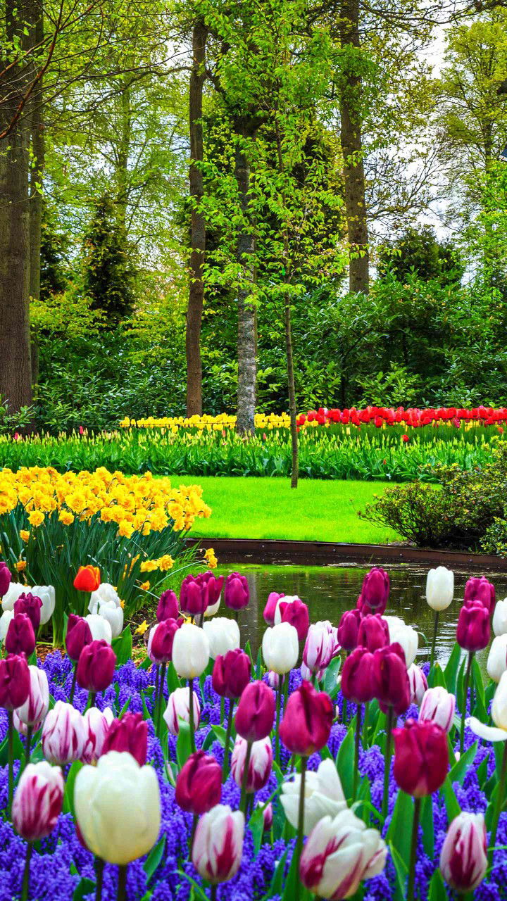 Sharmila profile icon