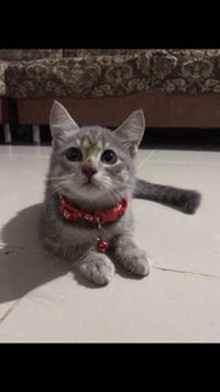 ❤️❤️ profile icon