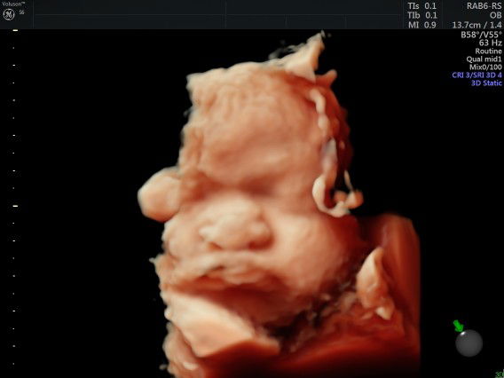 Dela Adelia profile icon