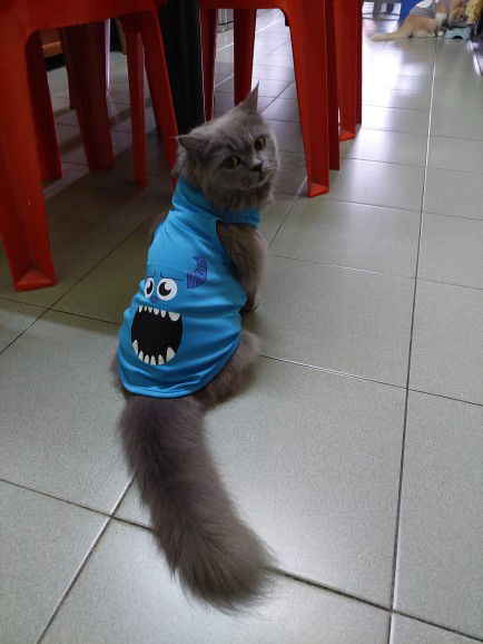 Athira Khairi profile icon