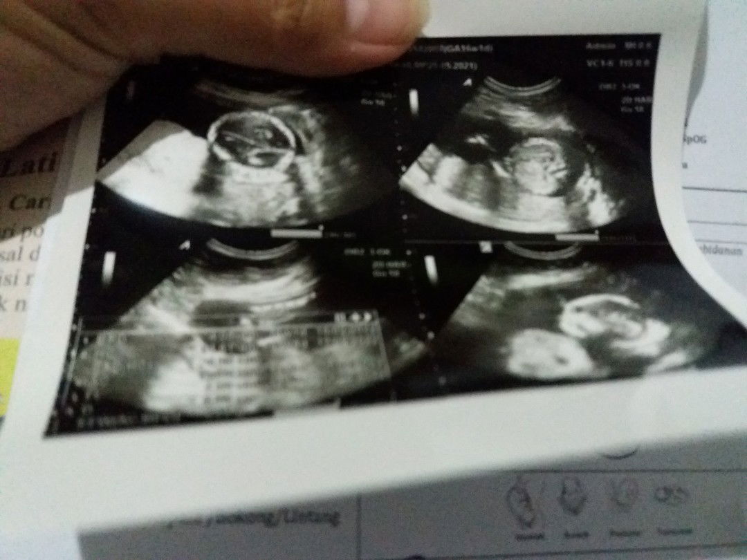 Princesskalori profile icon