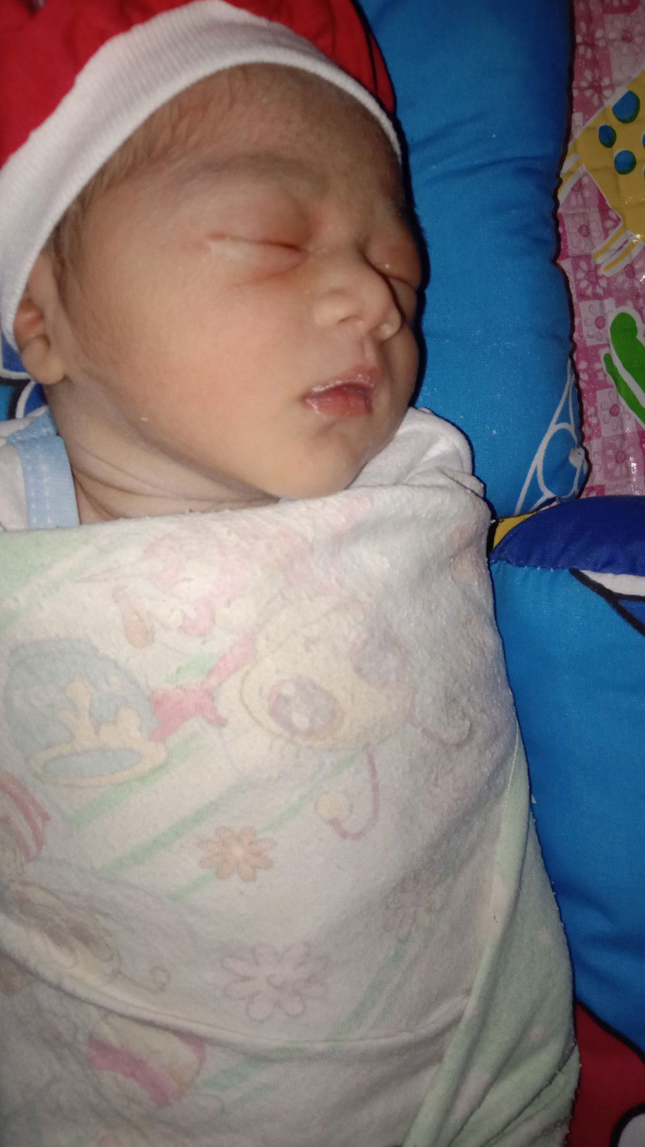 Dwi Nila profile icon