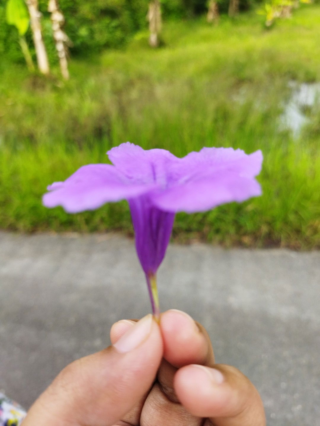 nur haziqatul hanani profile icon