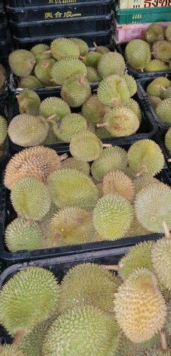 Durian