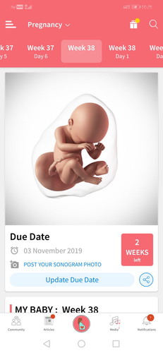38weeks
