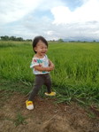 Nung Inpoommee profile icon