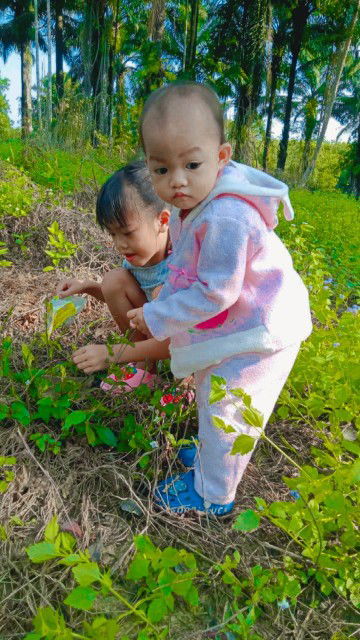 พรผกา บุตรพรม profile icon