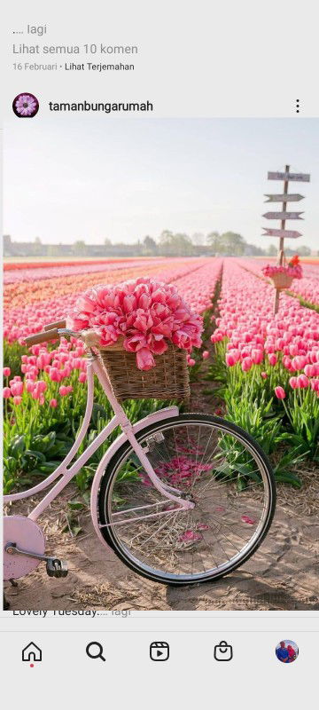 Zieyta Yusri profile icon