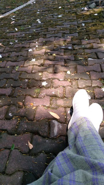 Ai Rosmalasari profile icon