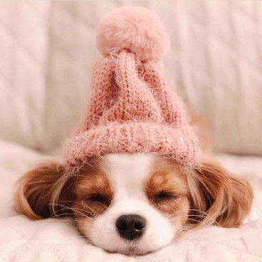 lyn derullo profile icon