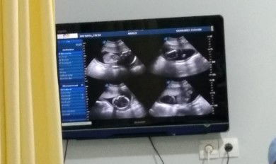 Sakinah Azzahra profile icon