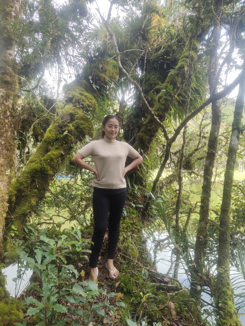 Wilma Comafay profile icon