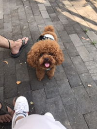 Karina apriliani profile icon