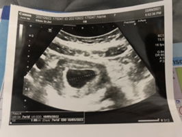 นูรอาฟีญา profile icon