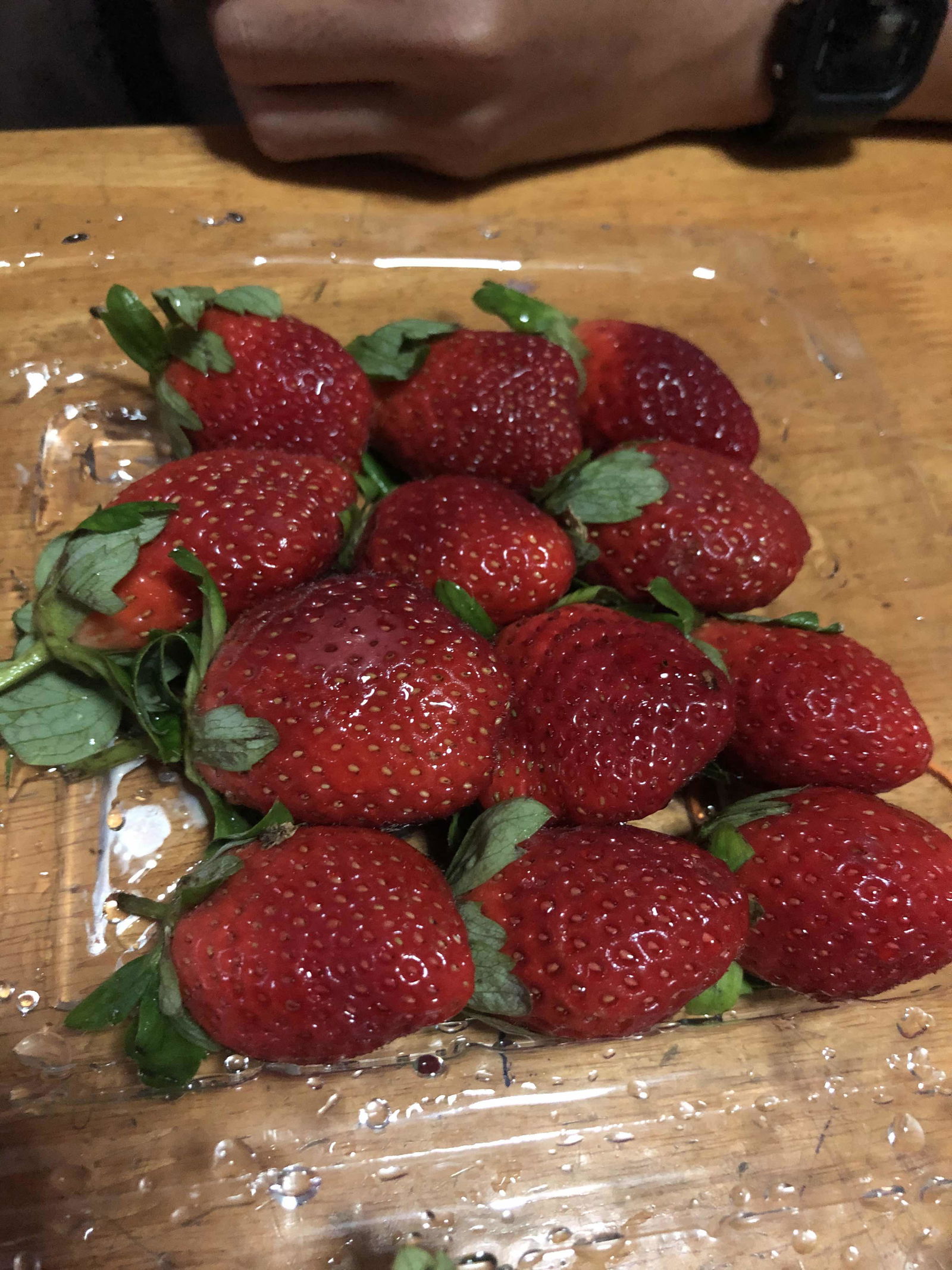 fara hanim profile icon