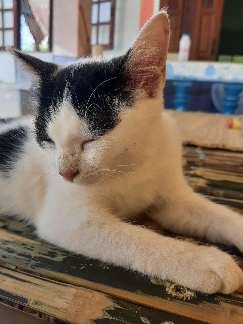 นู๋ หญิง profile icon