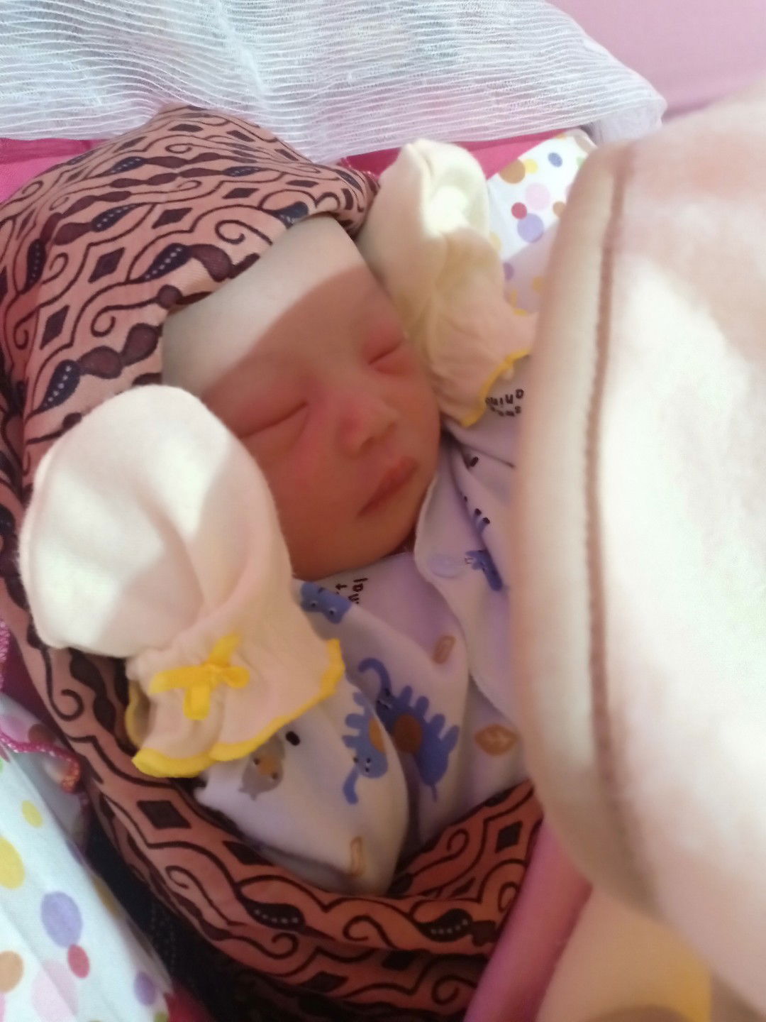 lahir 26 nov dengan HPL 27 Nov