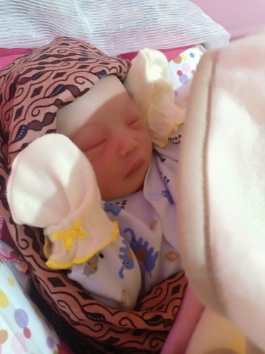 lahir 26 nov dengan HPL 27 Nov