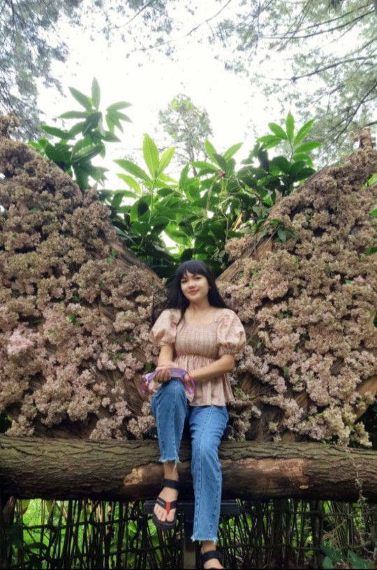 mirabella profile icon