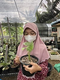 Fah Liflike profile icon