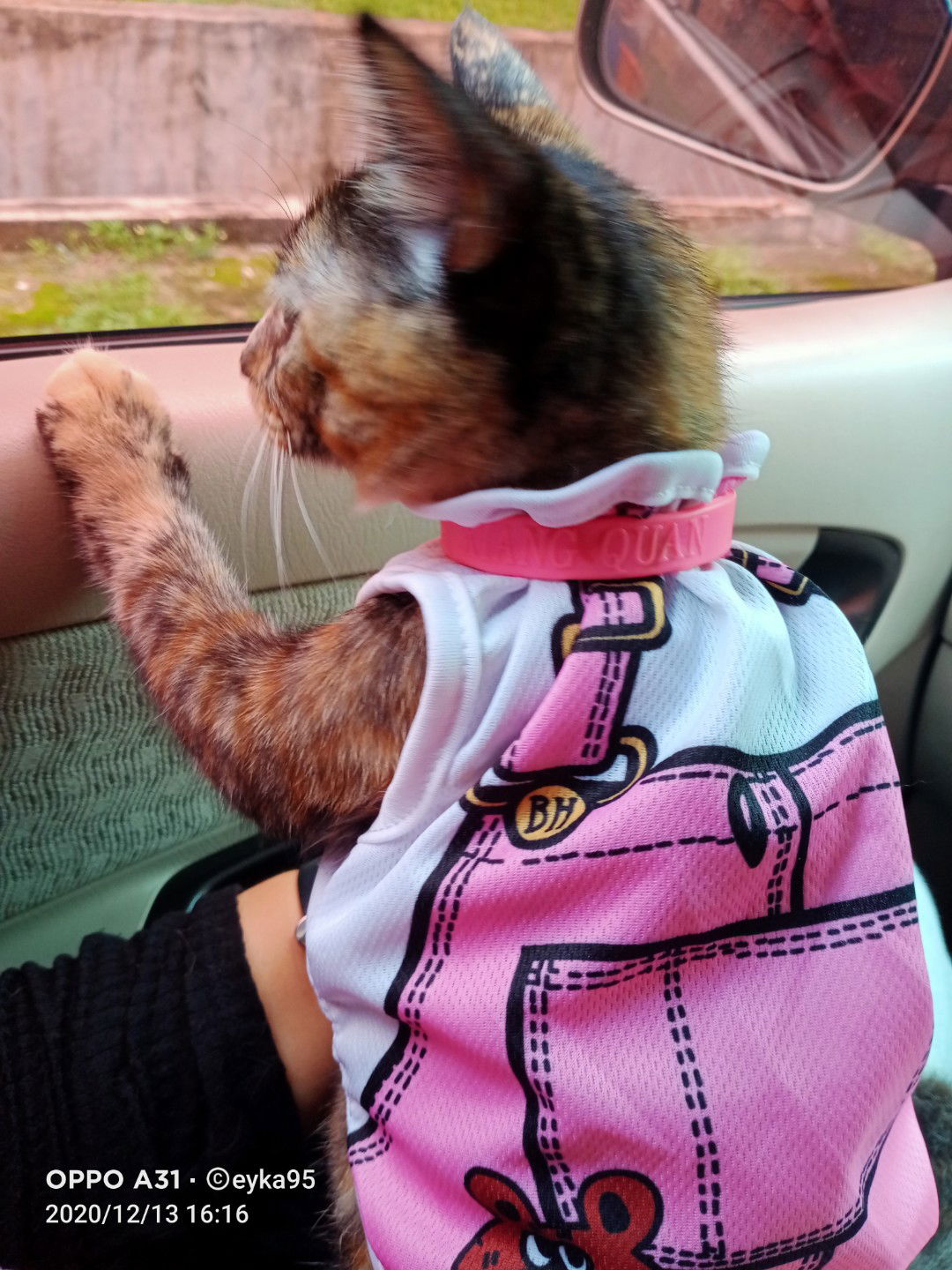 norsyafiqah profile icon