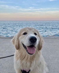 Phanathira profile icon