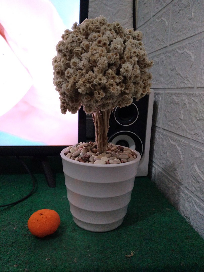 Ida Damayanti profile icon