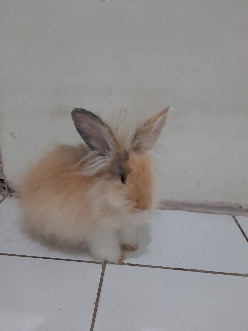 Amalia G profile icon