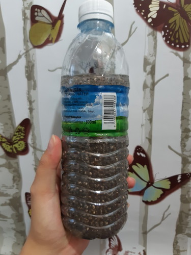 CONSUMING CHIA SEEDS ORGANIC DURING PREGNANCY