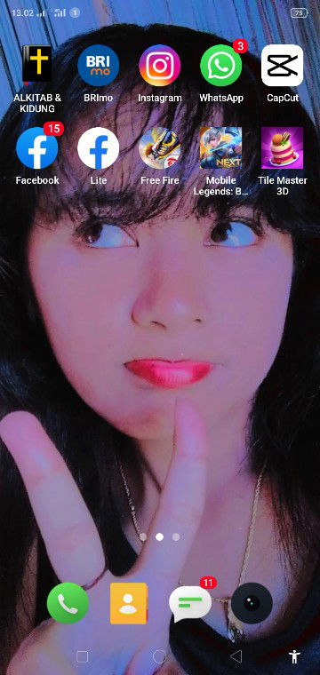 Serli Ici Lie Welkis profile icon