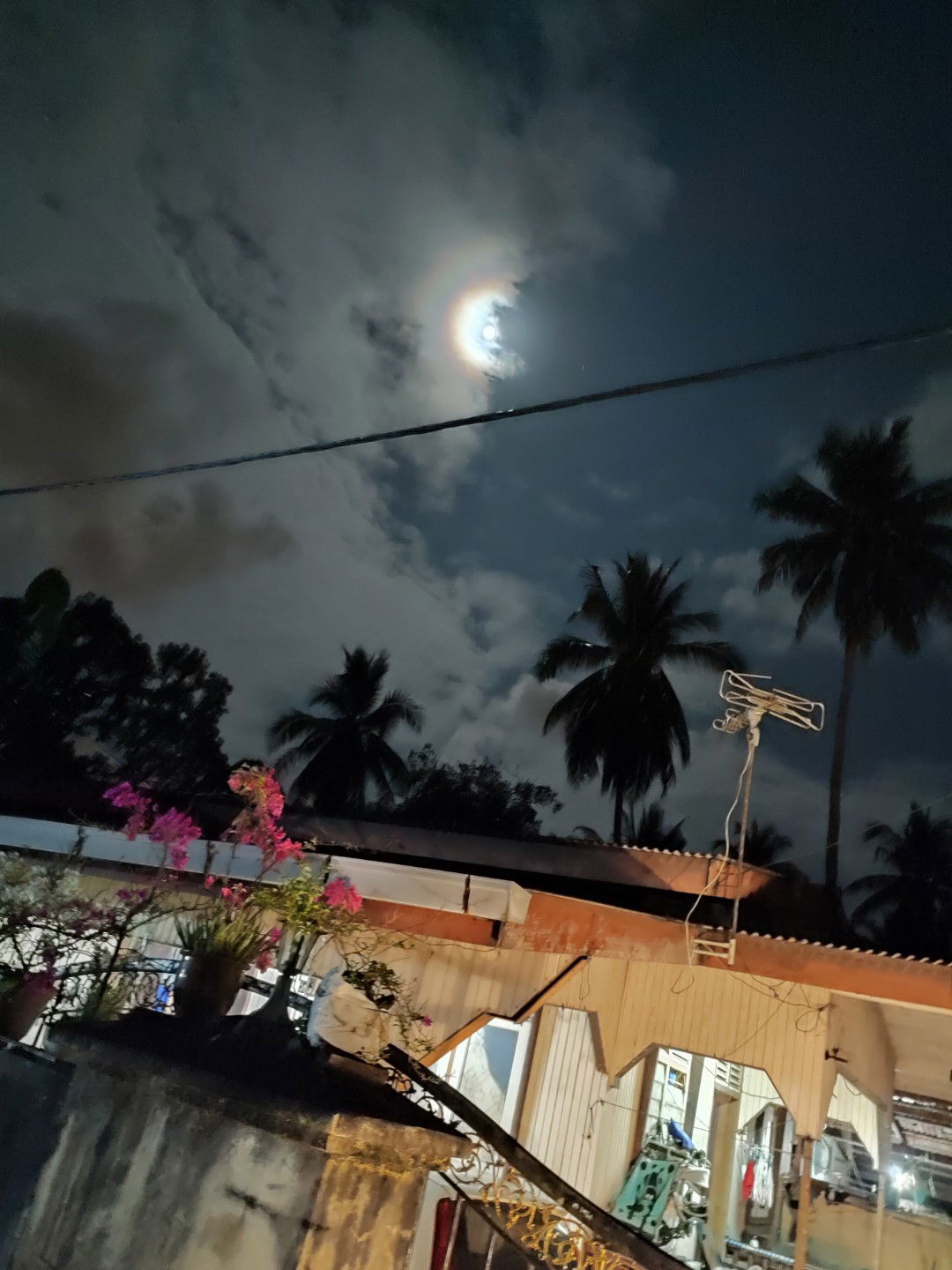 Nurul Izzati Abdullah profile icon