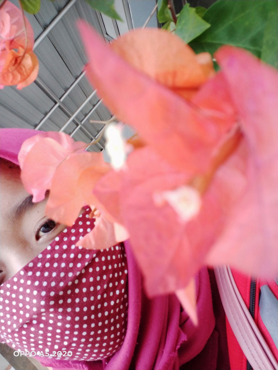 Zulfa.N profile icon