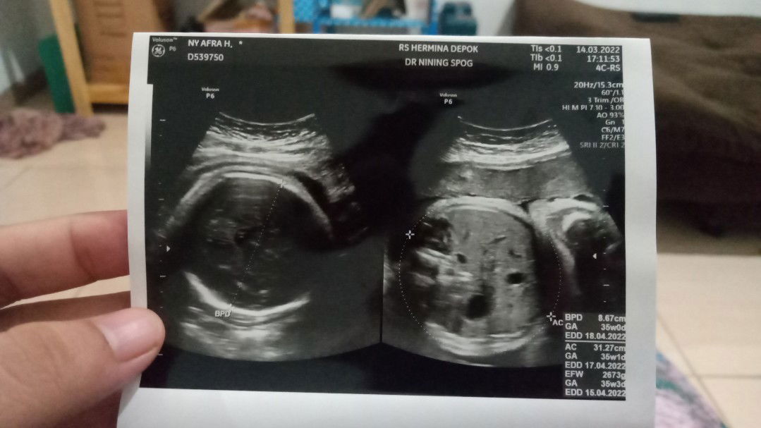 Afra Haza profile icon