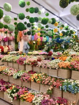 yahyaaa profile icon