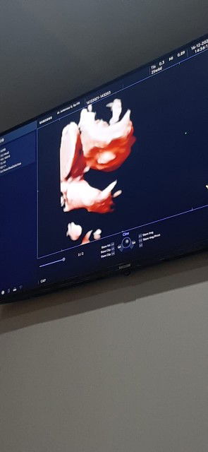 Siska Dwi Angga profile icon