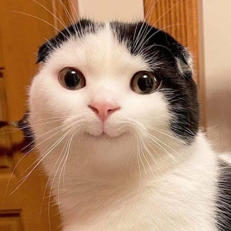 Anisa Dwi Lestari profile icon