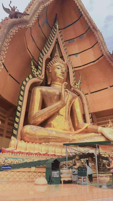 Mew Chutima profile icon