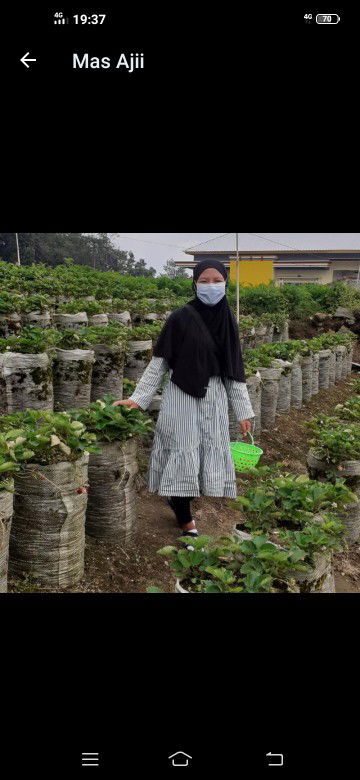 sitilestari profile icon