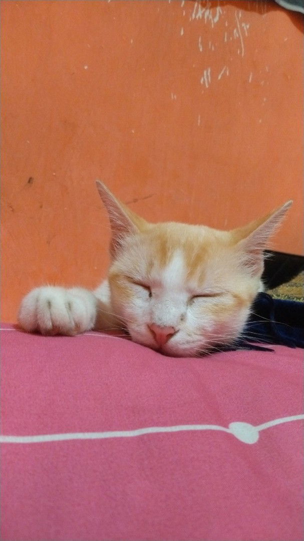 endah widi astuti profile icon